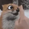 🦊