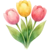 🌷