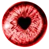 🩸