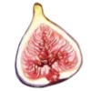 🌰