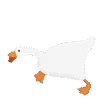 🪿