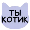 🐱