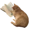 📖