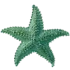 ⭐️