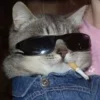 🚬