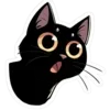 🐈‍⬛