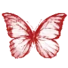 🦋