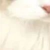 🤩