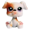 🐕