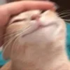 😊
