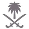🇸🇦