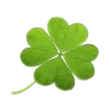 🍀