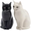 🐱