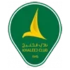 🇸🇦