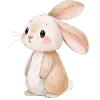🐰