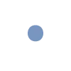 🔹