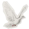 🕊