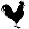 🐓