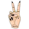 ✌️