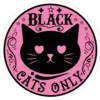 🐈‍⬛