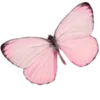 🦋