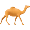 🐫