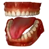 🩸