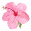 🌸