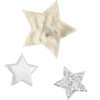 🌟