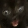 😱