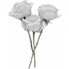 🌹