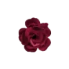 🌺