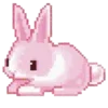 🐇