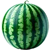 🍉