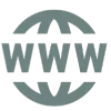 🌐