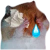 😭