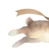 🐰