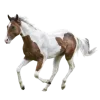 🐎