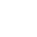 🐆