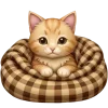 🐈