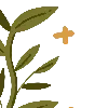 🌱