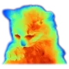 🐱