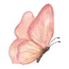 🦋
