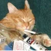 🚬