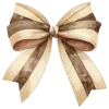 🎀