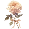 🌹