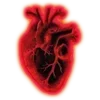 🧡