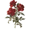 🌹