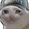 😿