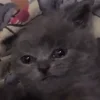 😶